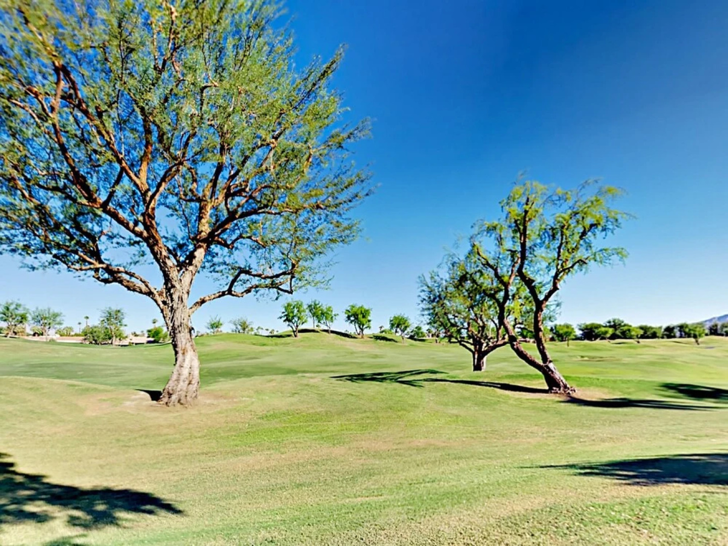 Oak Tree Condominium 3 Bedrooms 2 Bathrooms Condo