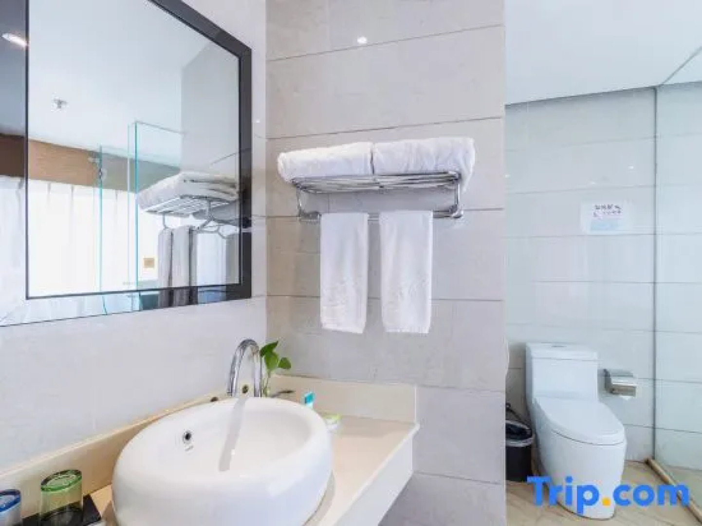 Golden Phoenix Hotel Luohe