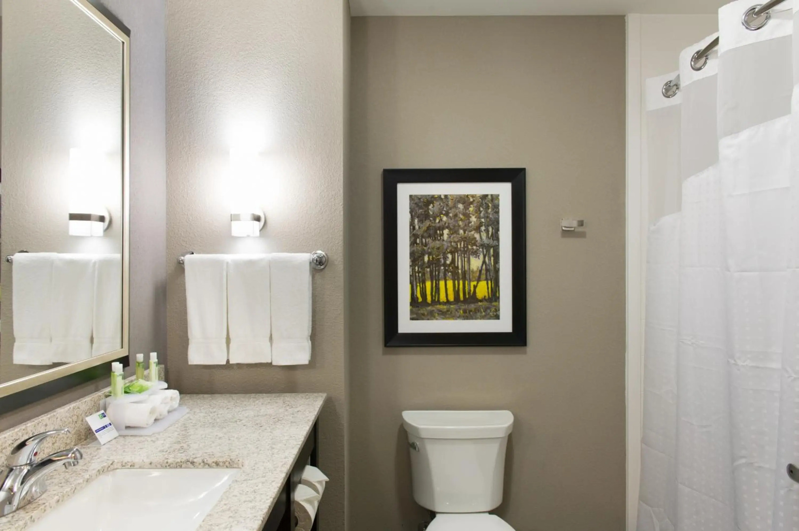 Holiday Inn Express & Suites Madison Central by IHG