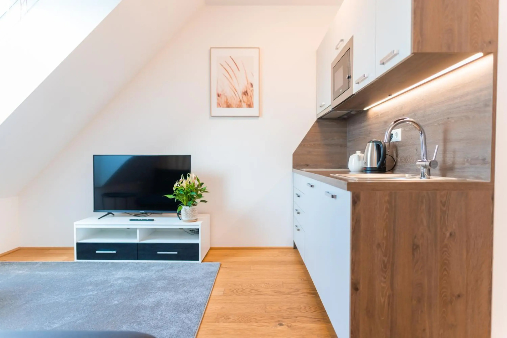 Apartment Hotel Triester