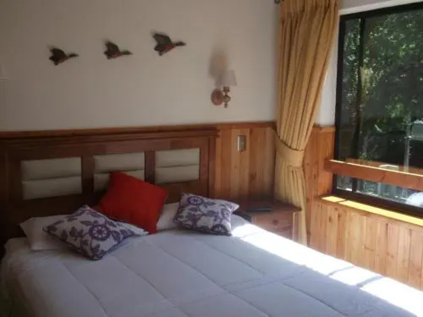 Departamentos Pucón