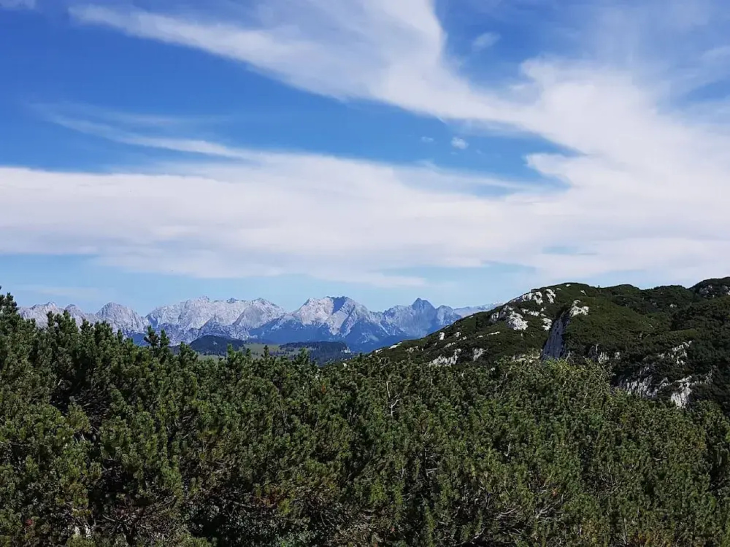 Apartment in Kirchdorf Near Ski Slopes