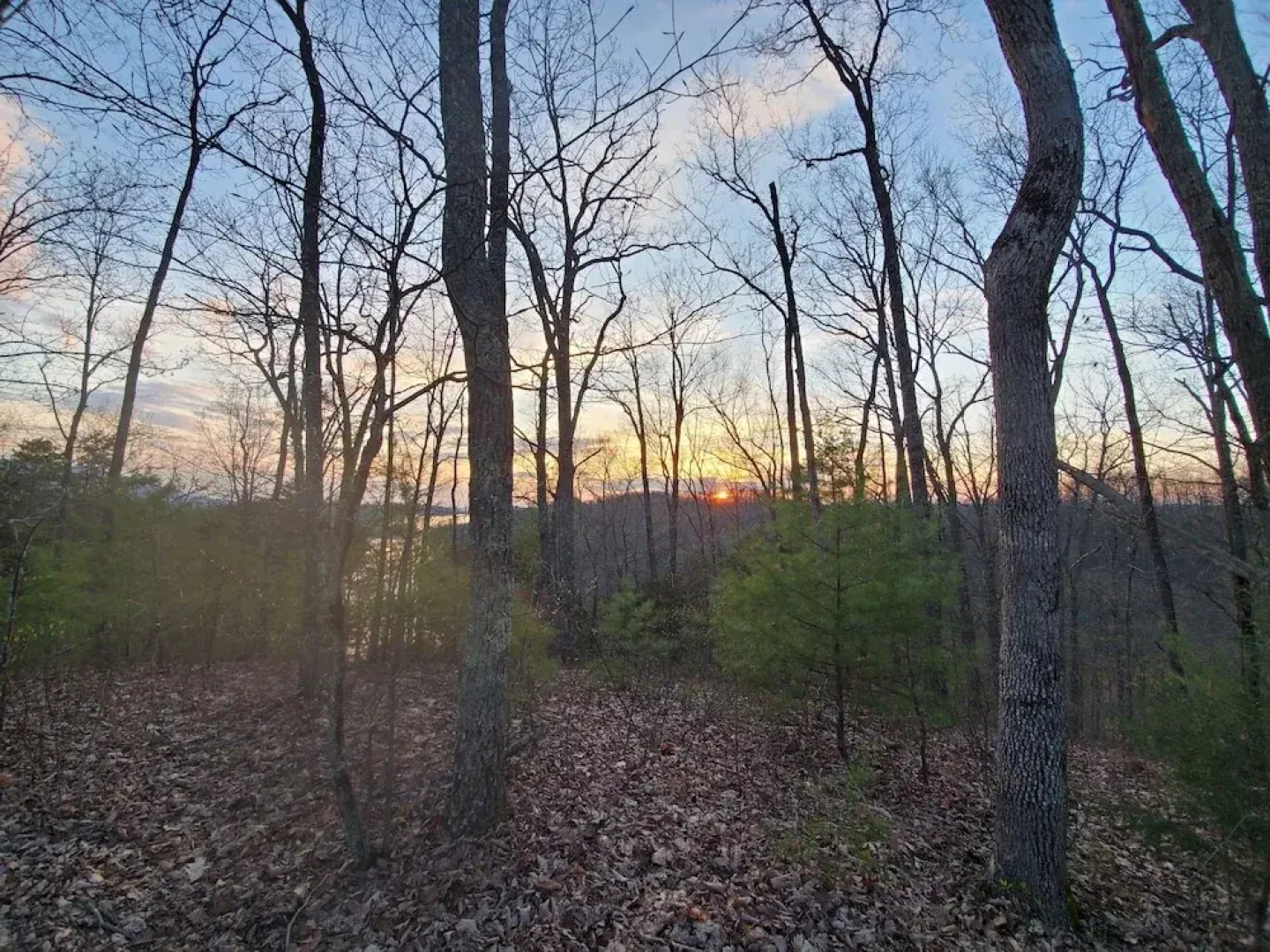Smoky Mountain Lake View Cabin Bristol Tn
