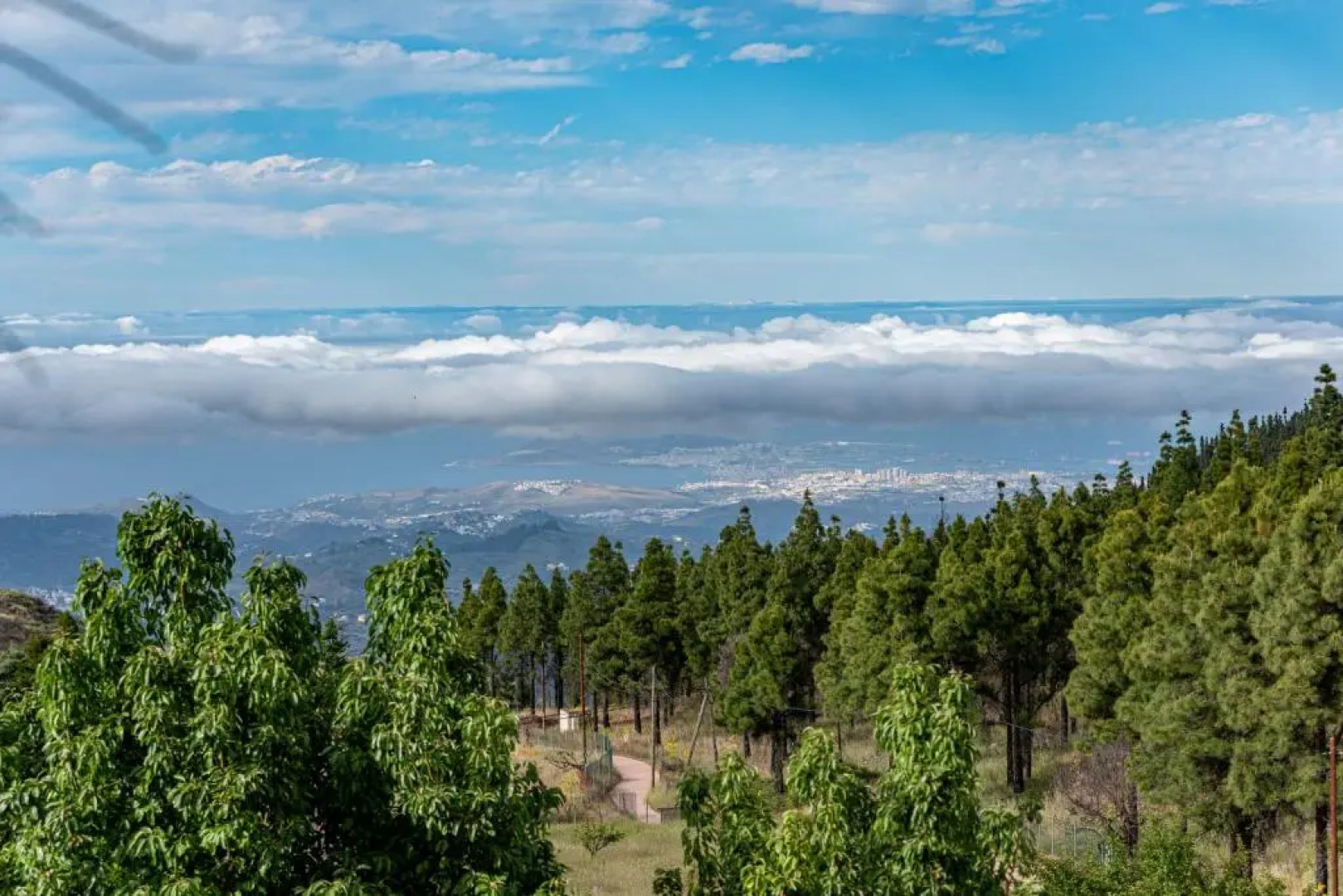 Roque nublo rural houses I