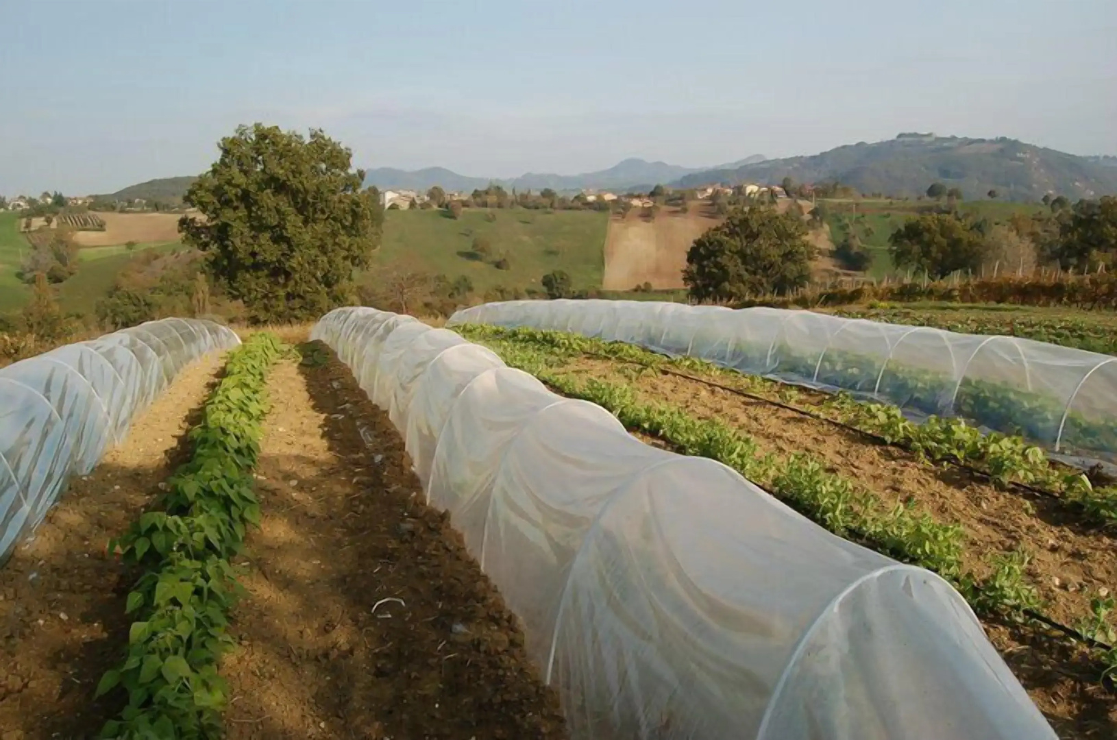 Agriturismo Il Filare