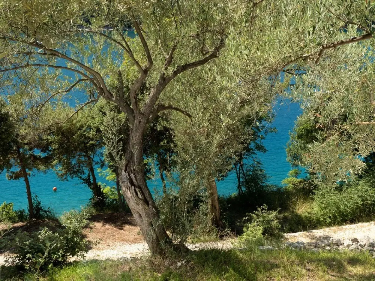 Vlastelini II Duga Luka