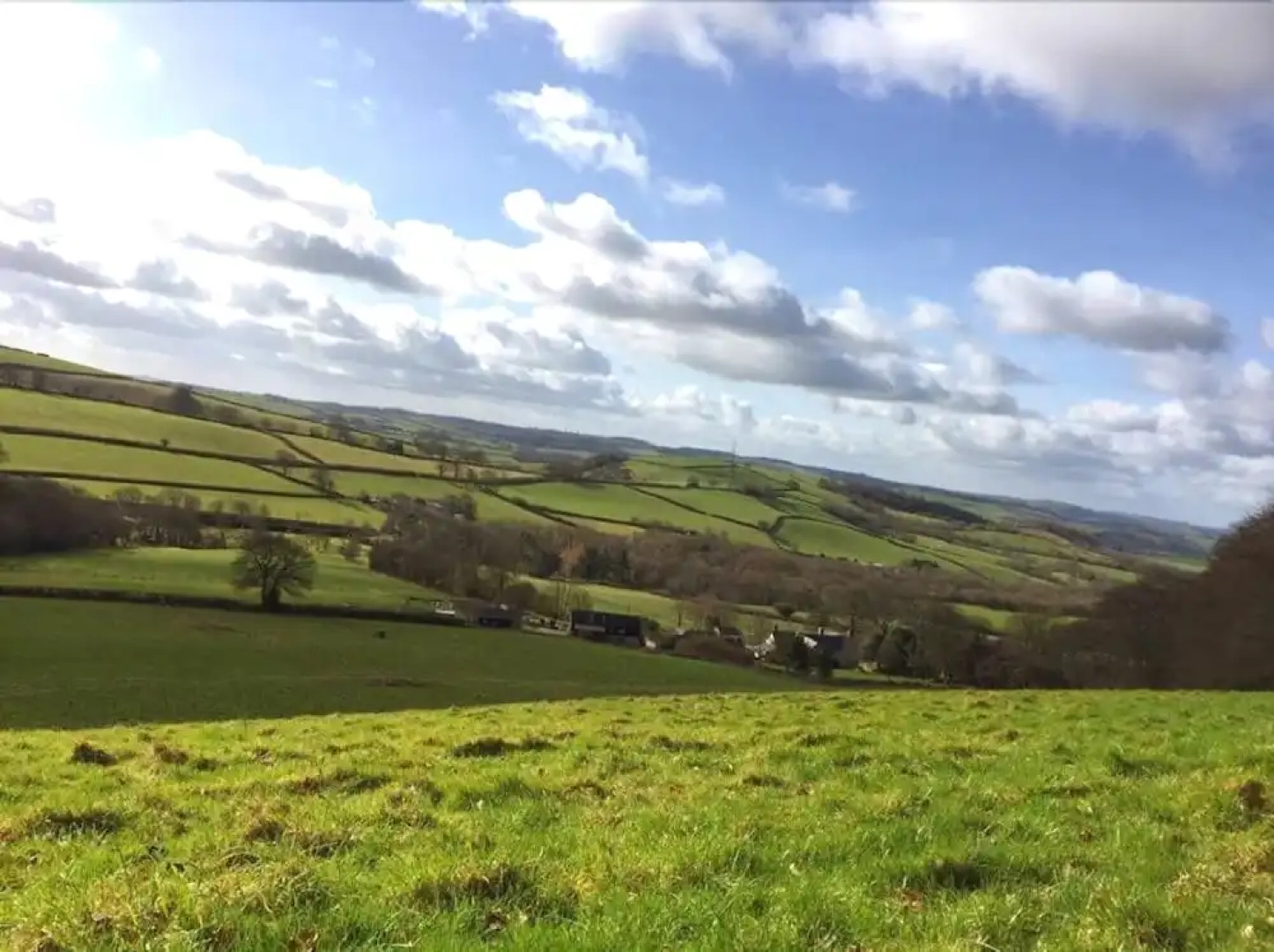 Self Catering Cottages at Handley Farm