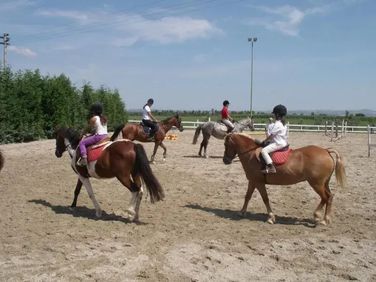 Bicoca - Nuova Fattoria
