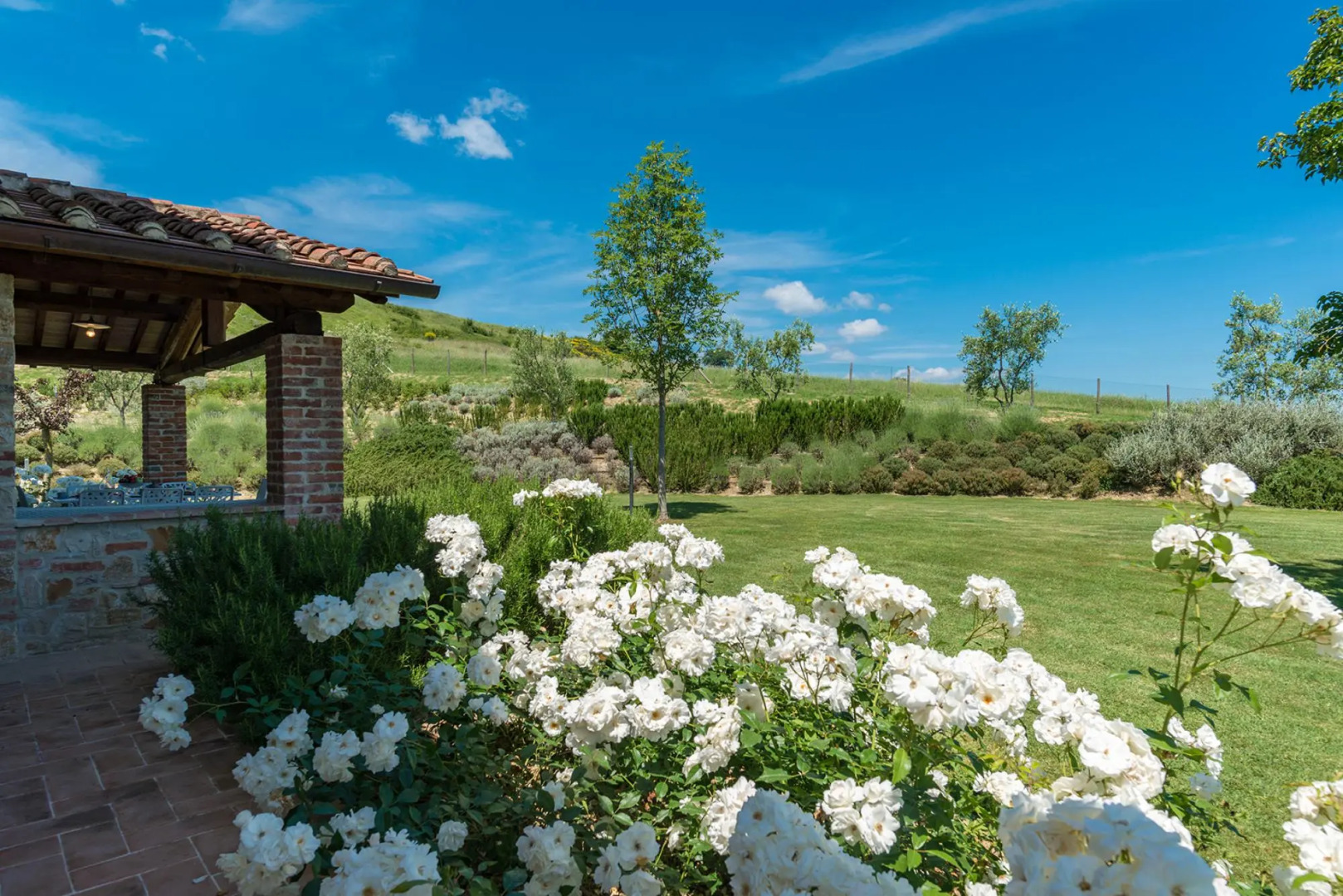 Rosa Dei Venti 8 in Fabro