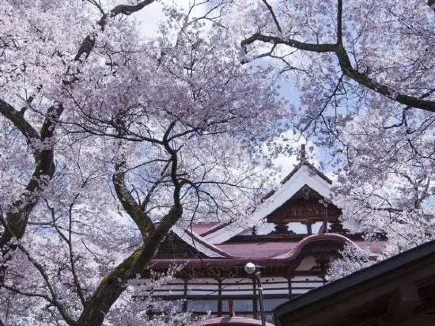 Takato Sakura Hotel