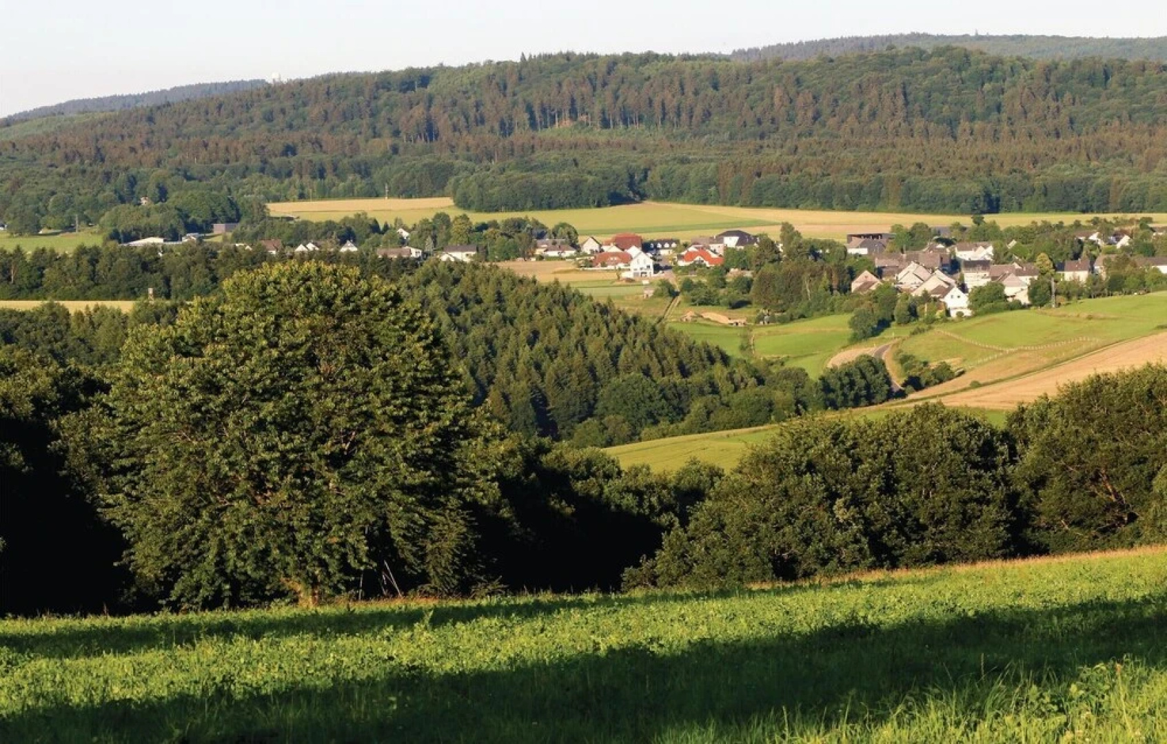 Amazing Apartment in Thalfang With 1 Bedrooms