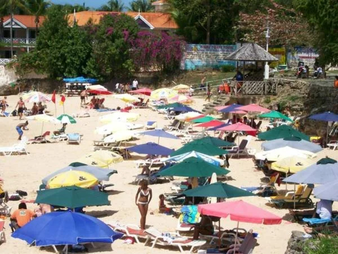 Golden Thistle Hotel