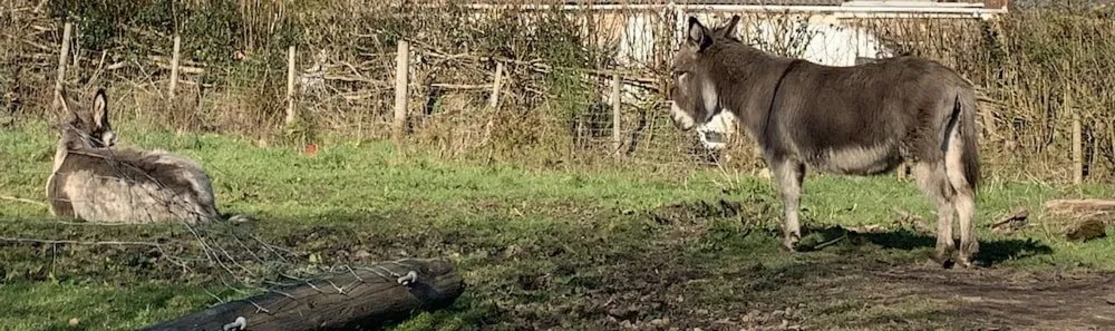 Pontyclerc Farm House B&B