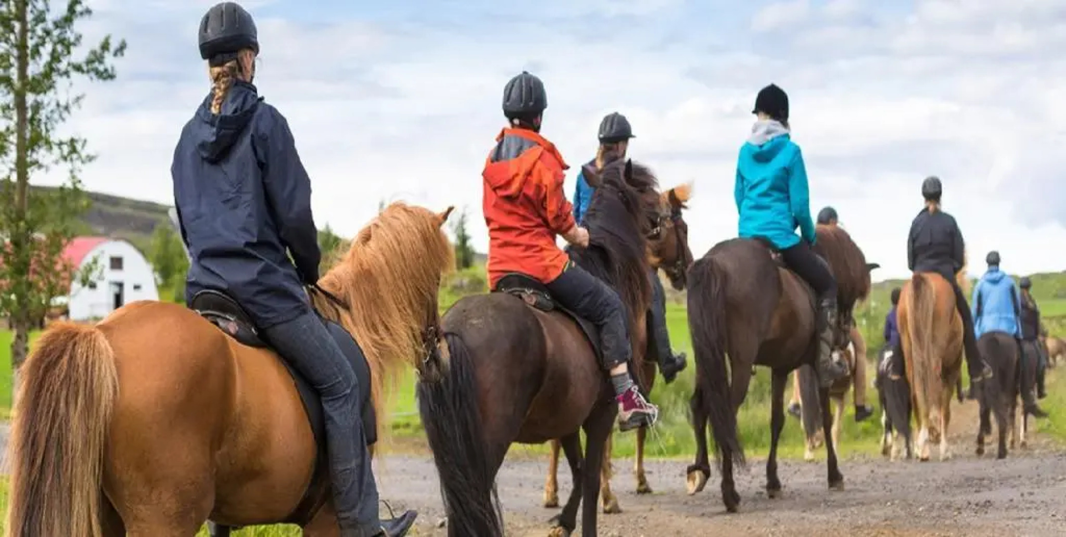 Mountain Laurel Resort