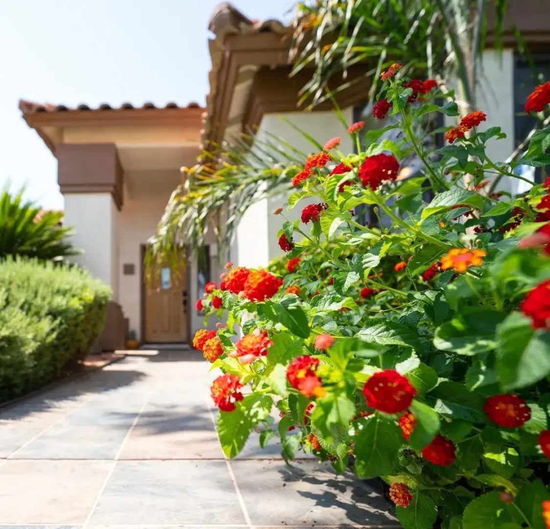 Val Vista Paradise in Gilbert