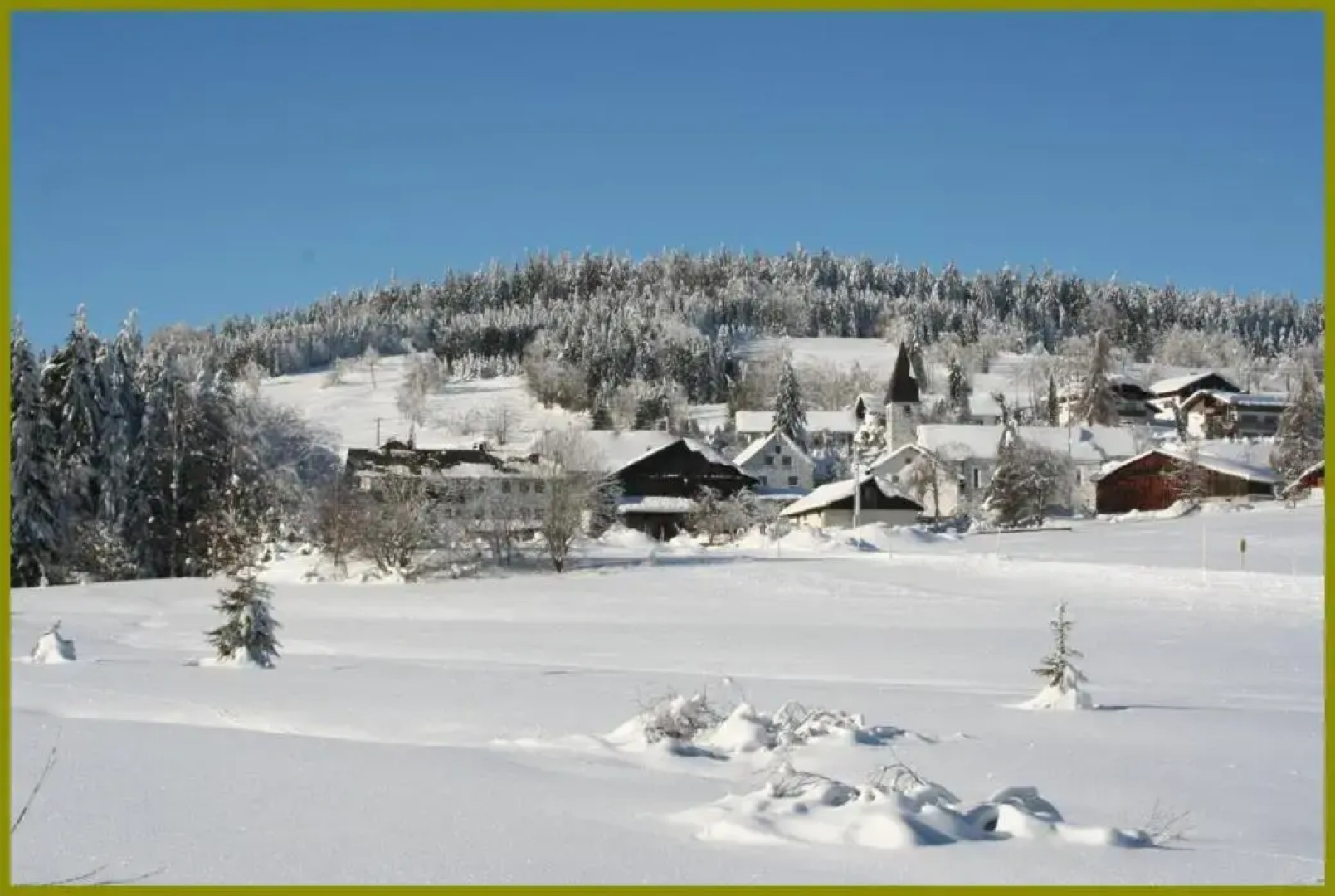 Pension Philippsreut "Zum Pfenniggeiger"