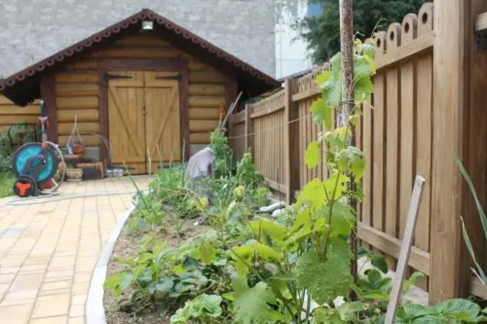 Guest House Metelitsa