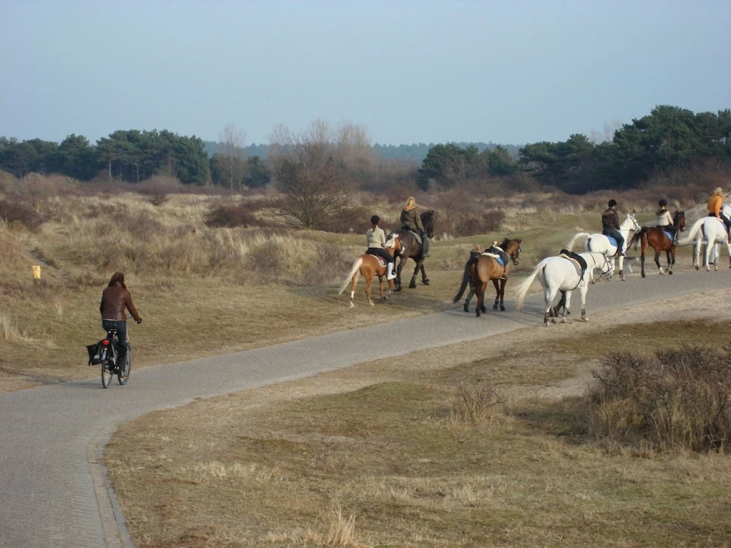 Luxurious Villa in Haarlem with Two Ponds