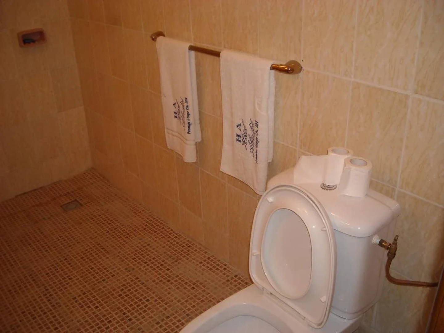Hotel Aladje
