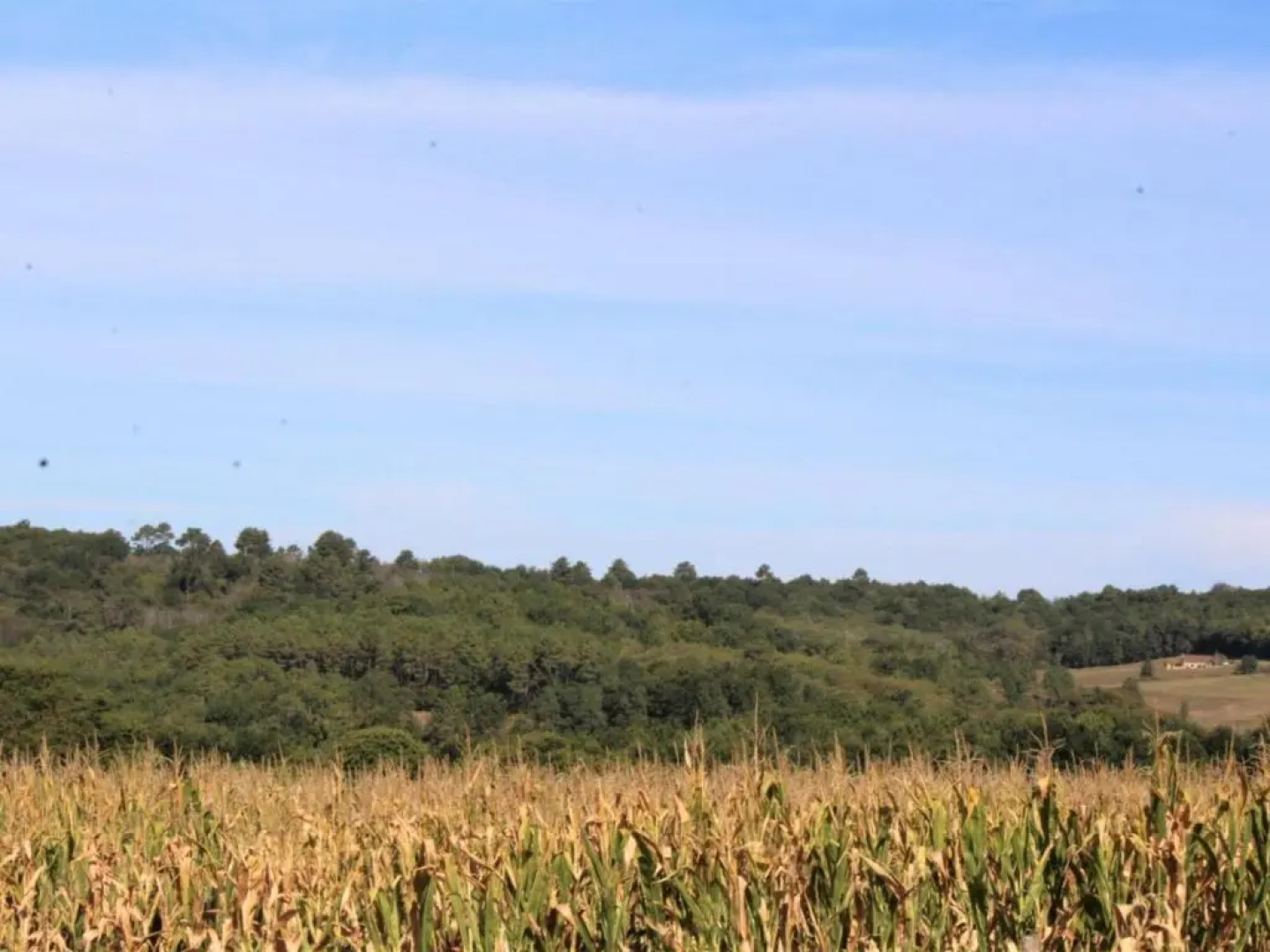 Appartement Tamniès, 4 pièces, 7 personnes - FR-1-616-186