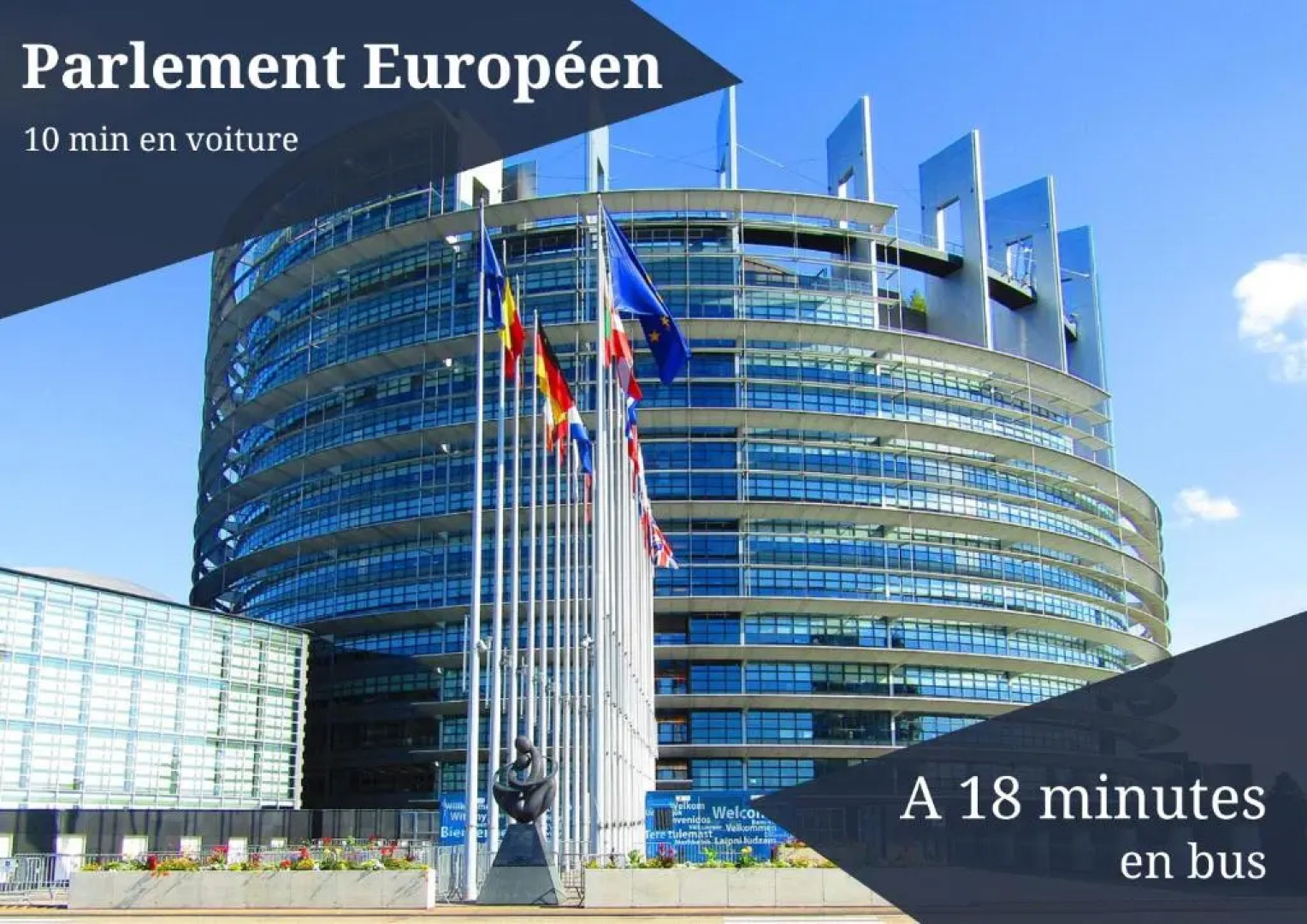 Le Rêve Bleu - GOLDEN TREE - Wifi - 15min centre ville de Strasbourg