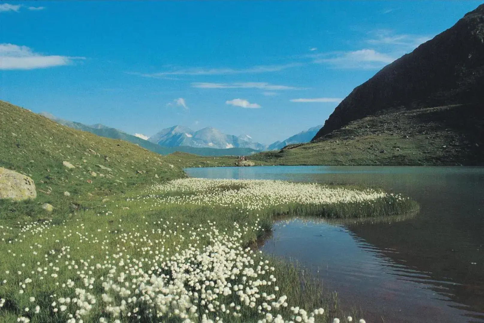 Hotel-Pension Hubertus