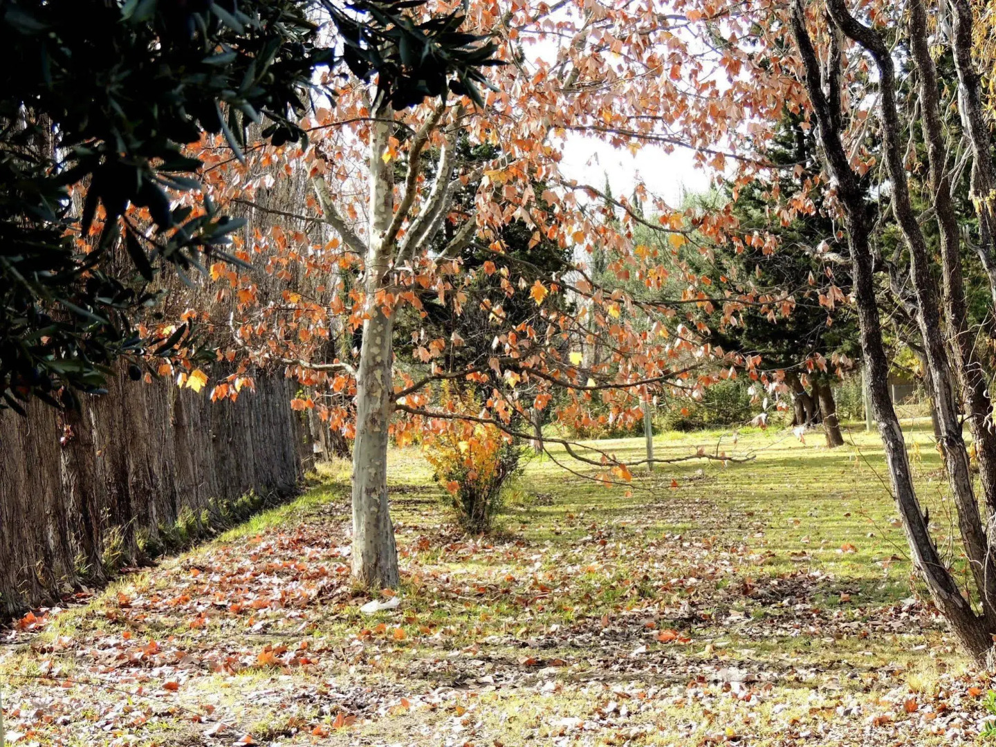 Solares de Viñuela Chalets