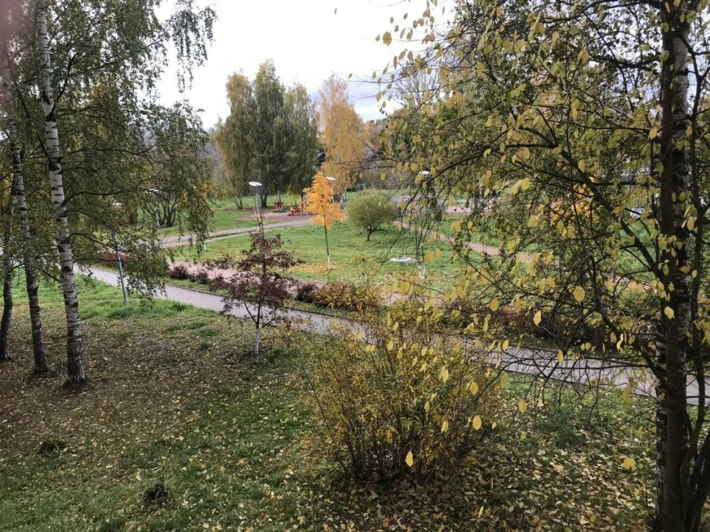 Апартаменты в 5-ом микрорайоне 49