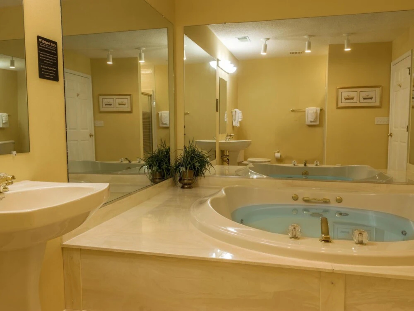 Massanutten's Woodstone Meadows by Tripforth