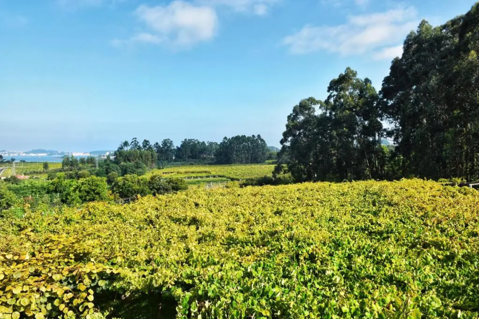 Apartamento Las Perdices