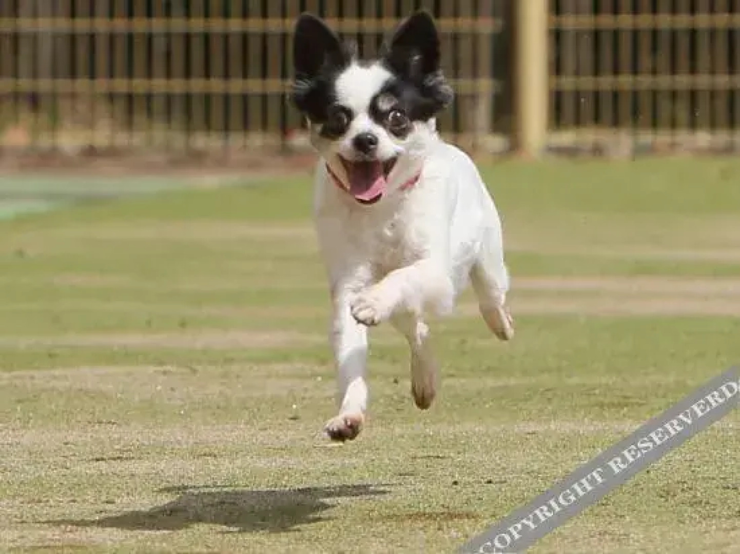 Ryokusuitei Katsuura Annex Suika