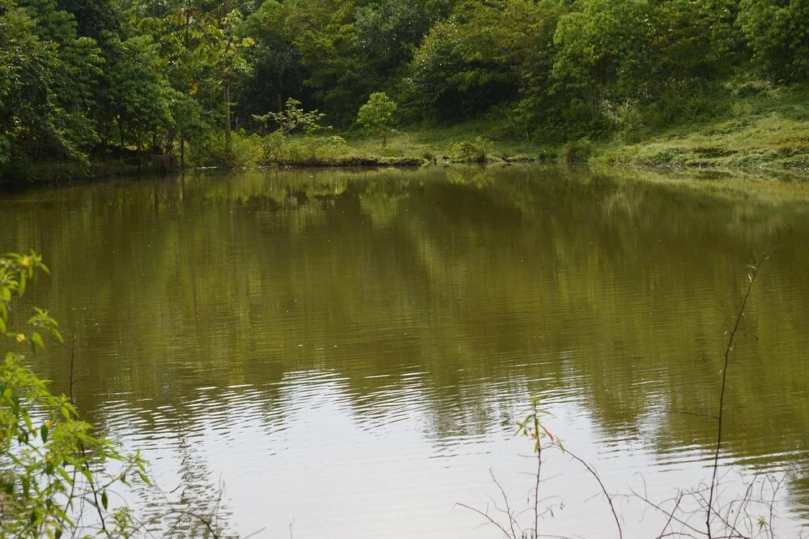 Albergue La Laguna Corcovado Park