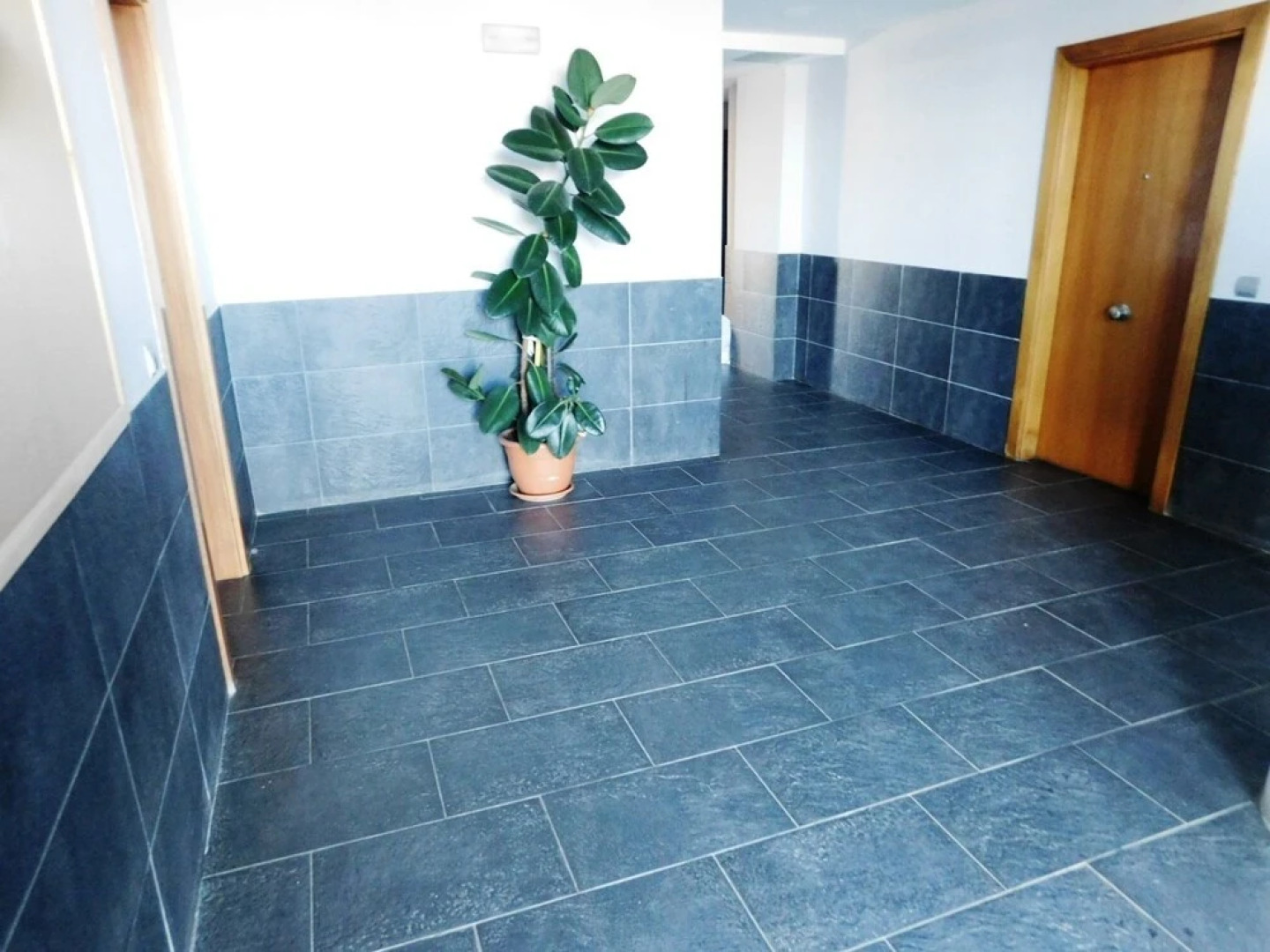 Apartamento Muga - A188