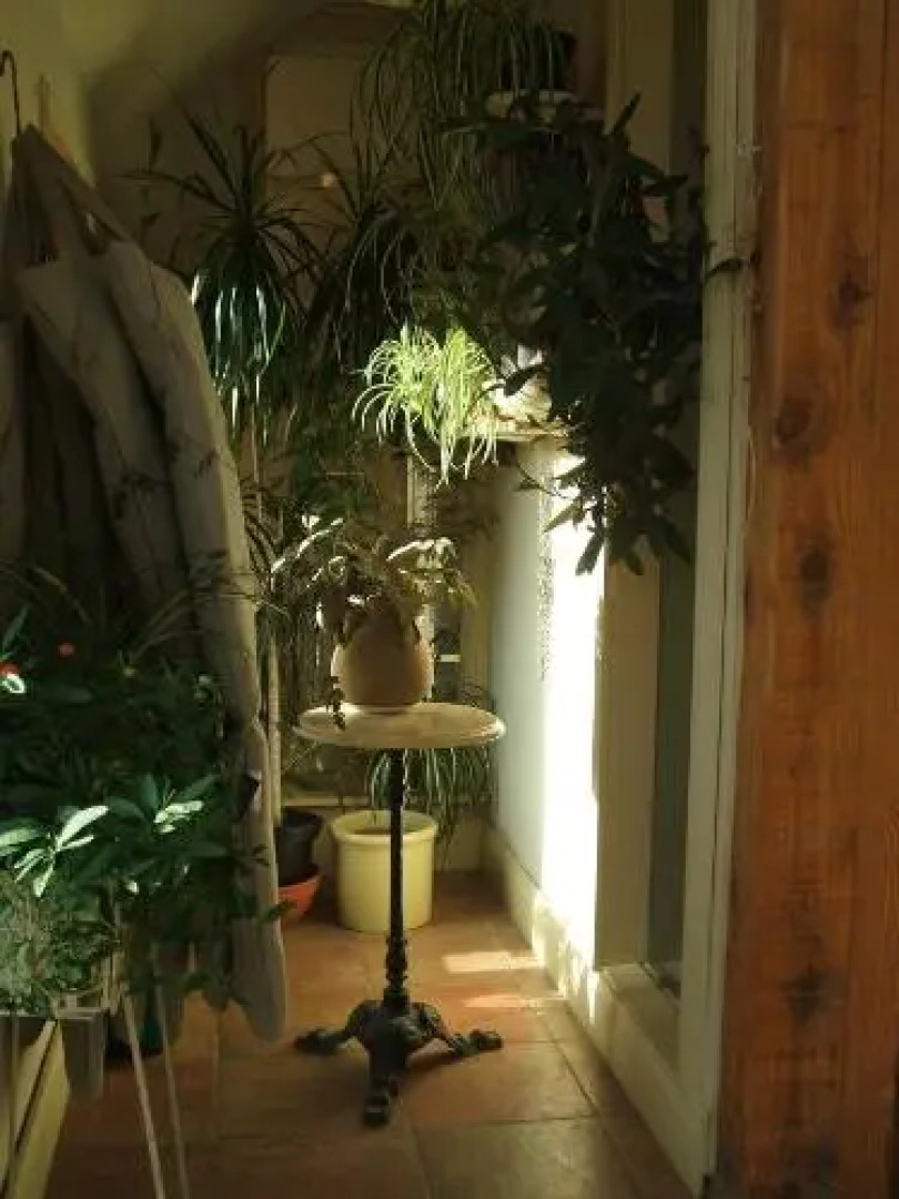 Kenmare Eco Lodge B&B