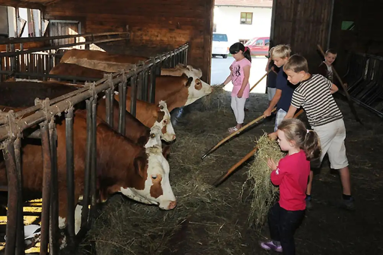 Exenbacher Hof - Pension