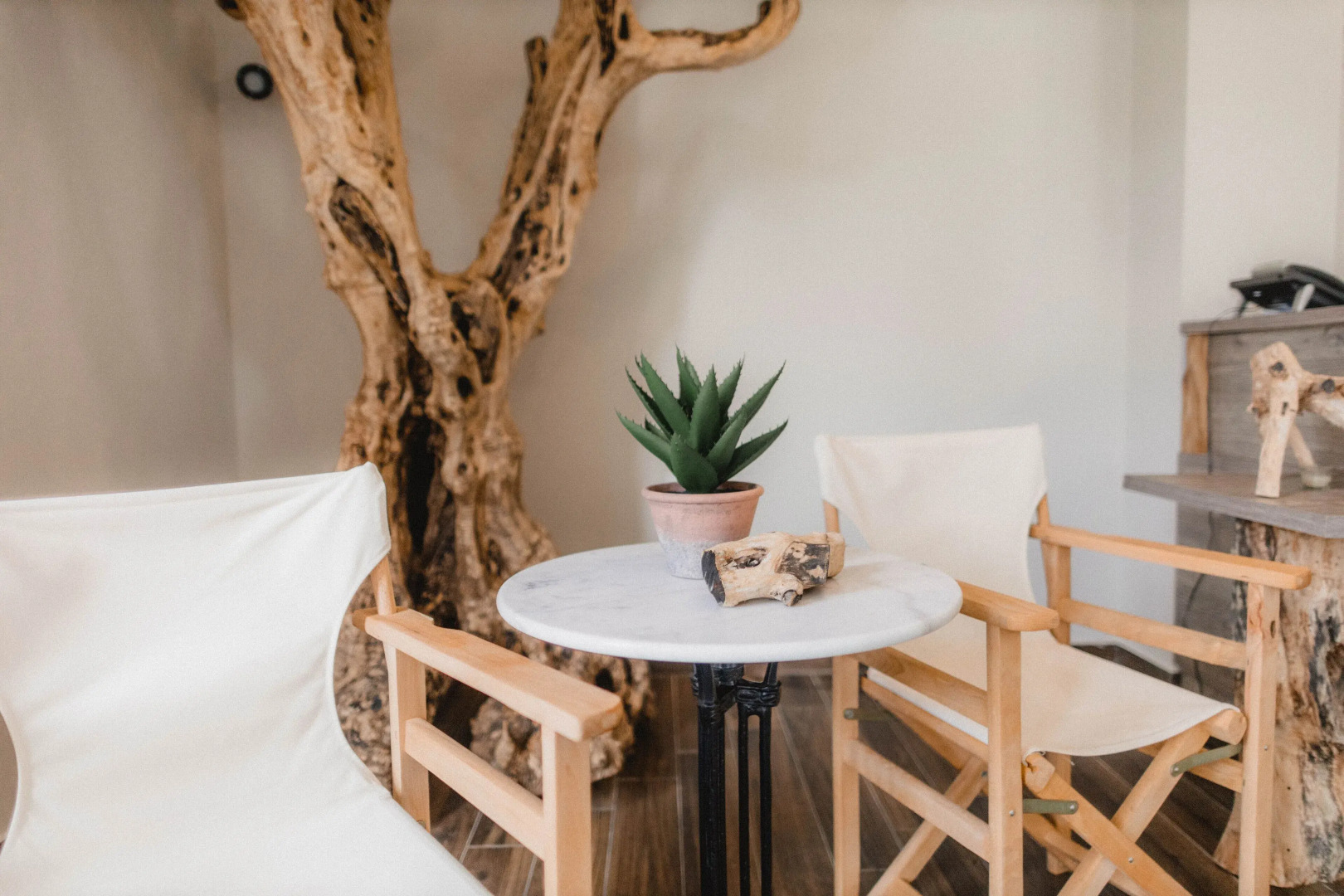 Socrates Organic Village - Wild Olive