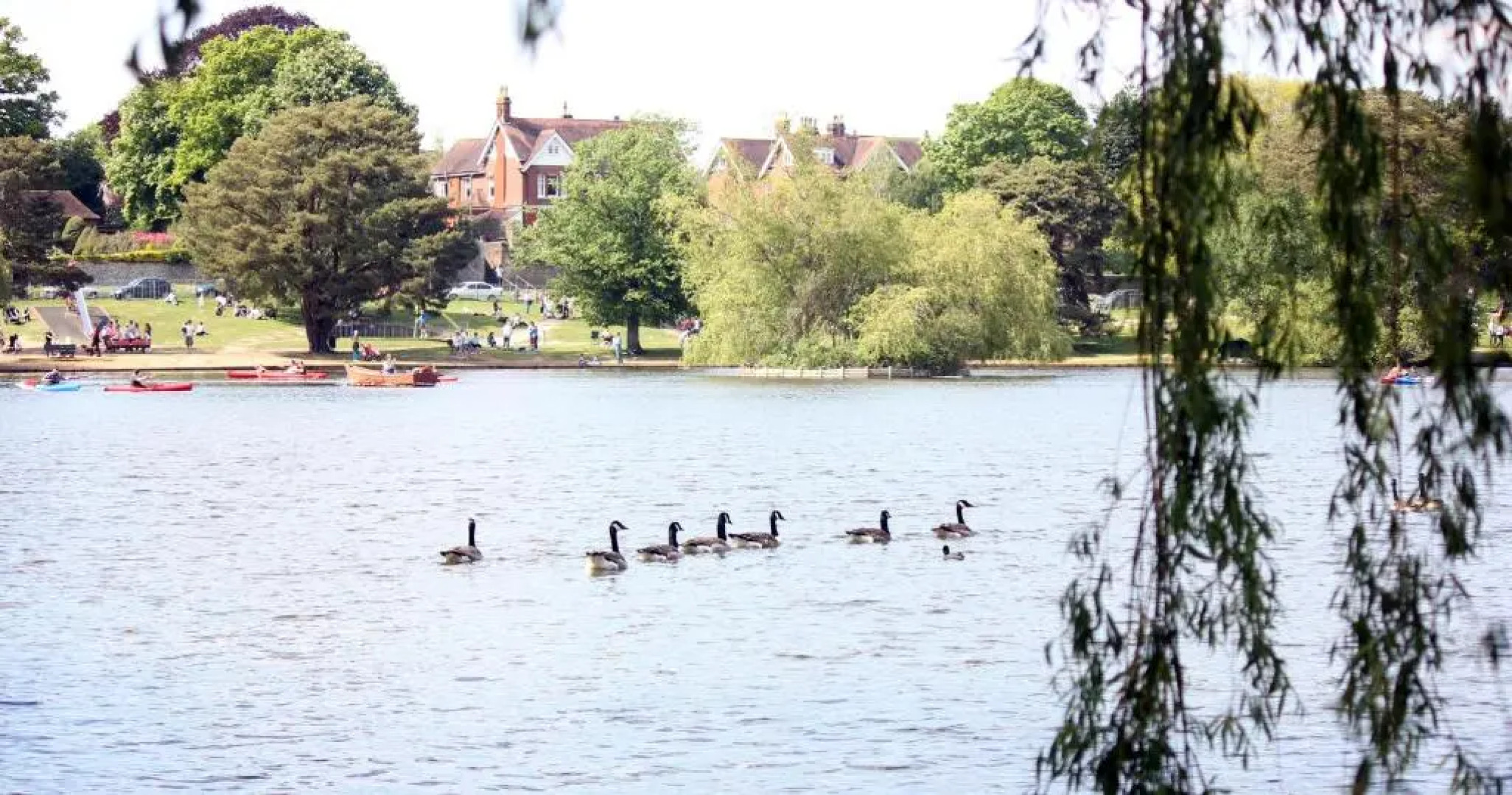 Perfect for Petersfield B&B