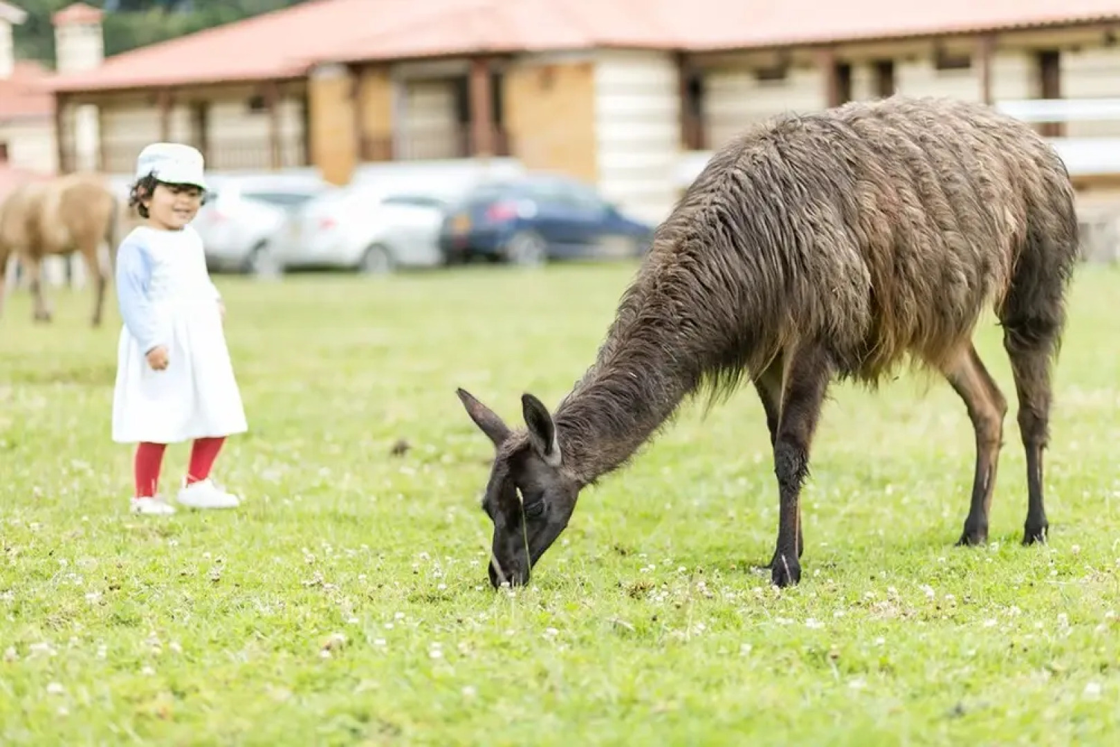 Hotel Campestre La Periquera