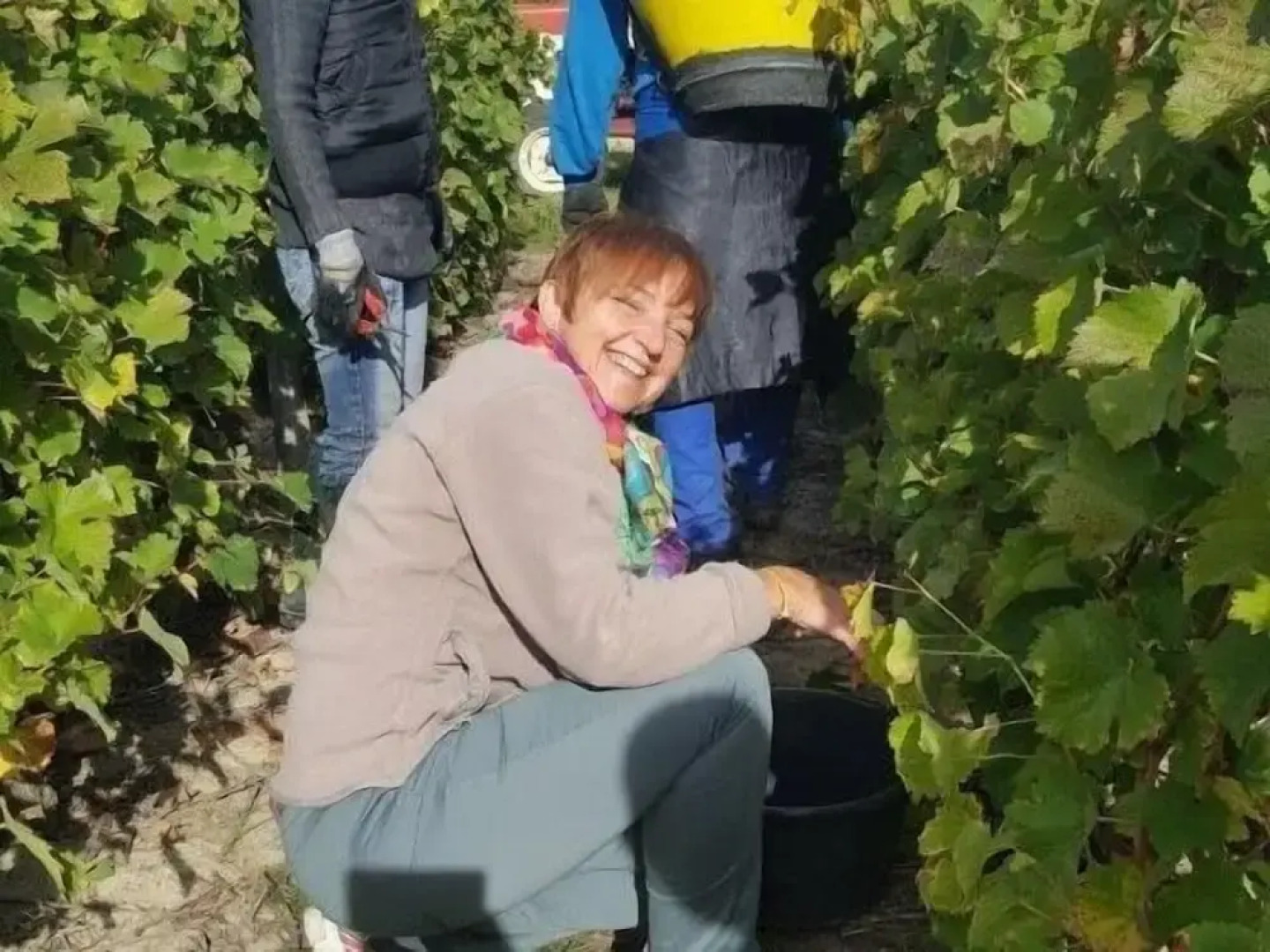 Le Moulin de Bacchus