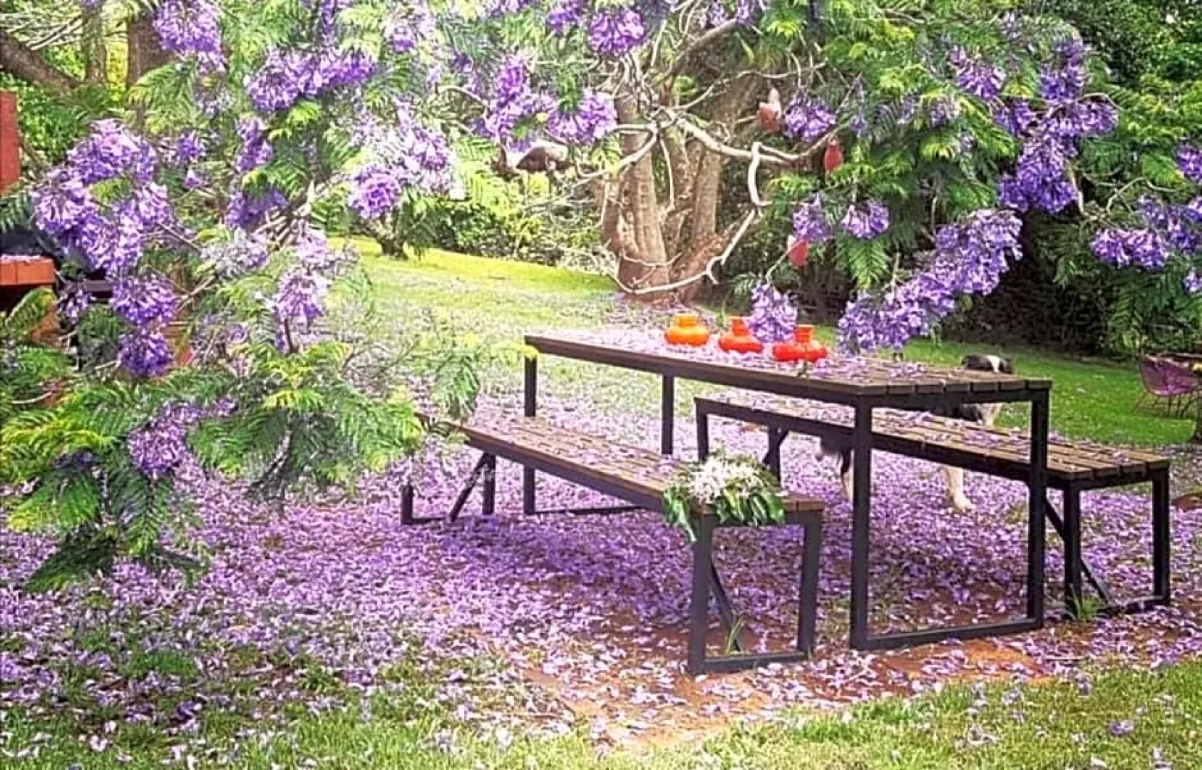 Wyndover Mountain Retreat