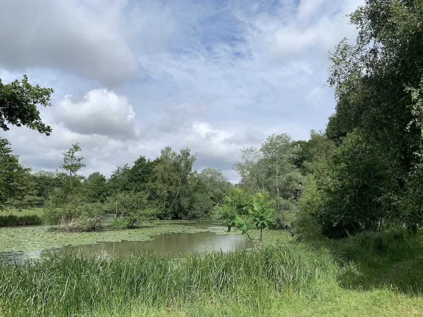 Wensum Glamping