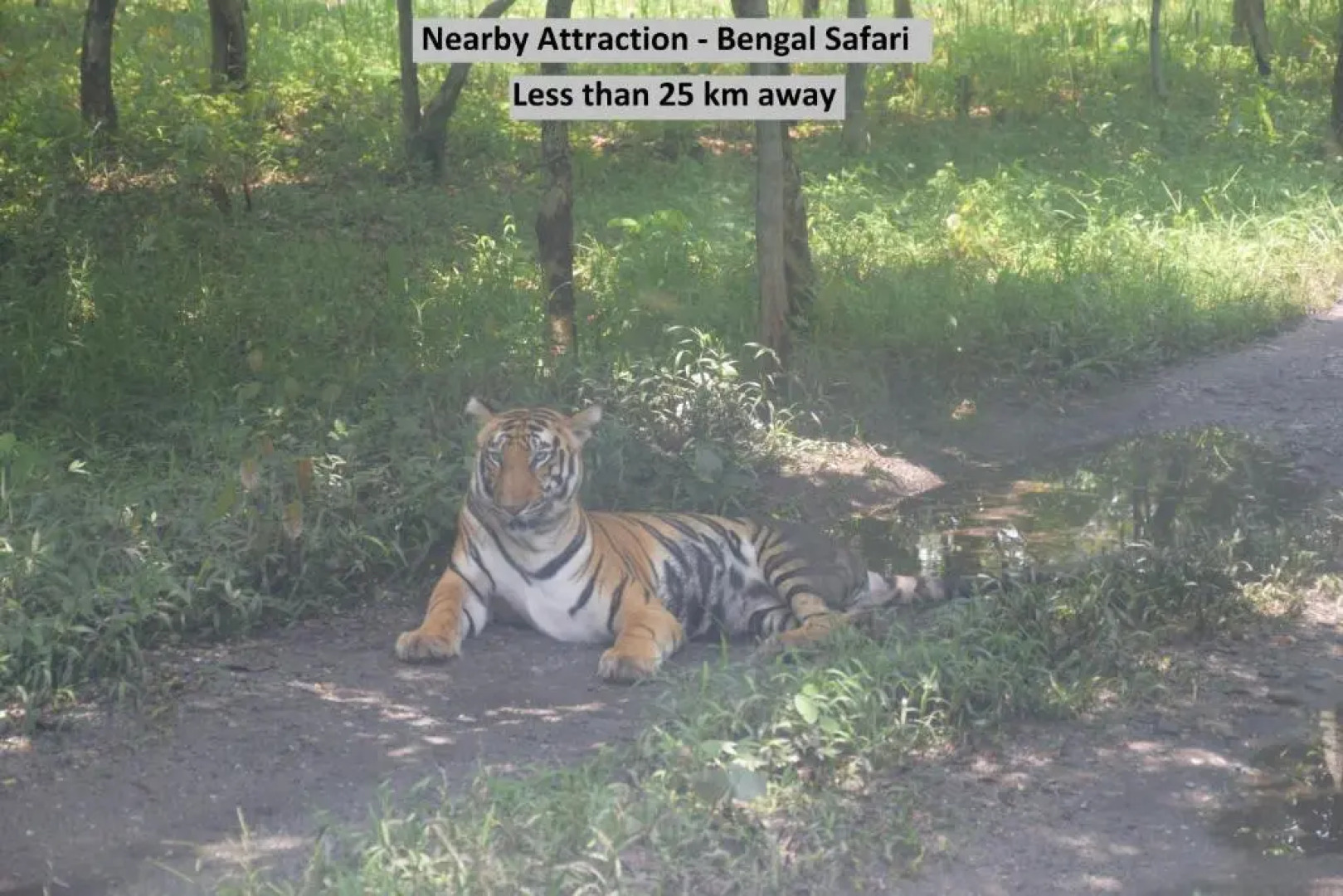 Capital O Hotel Pemachen