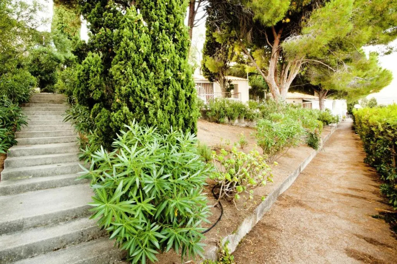 Residence San Damiano