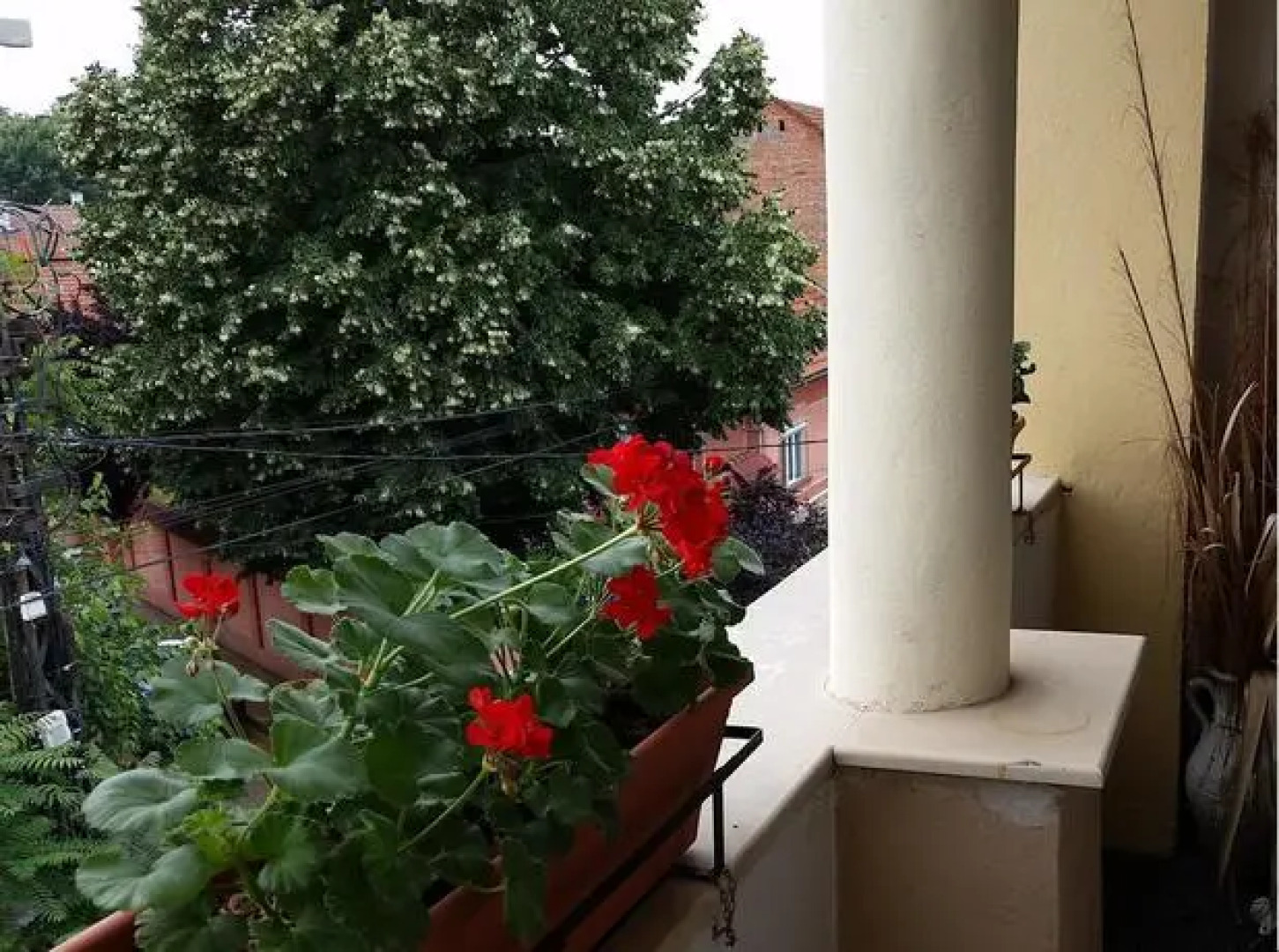 Moonlight Central Apartments