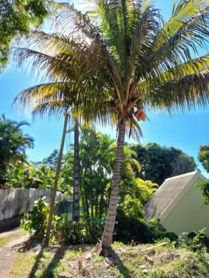Saint-denis Studio 40 m2 - Bellepierre