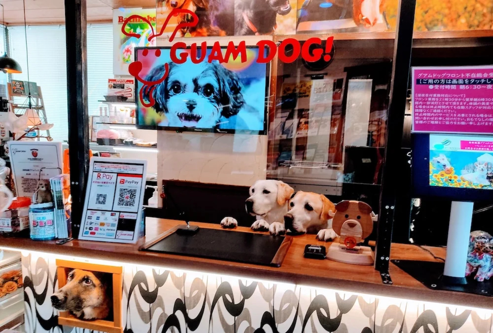 Hakone Gora Guam Dog