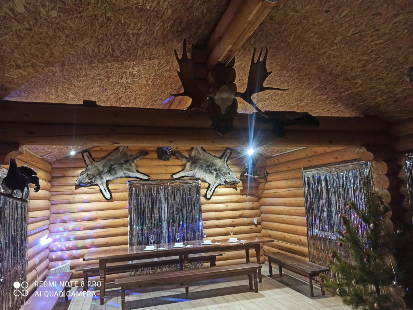 Медвежья Берлога