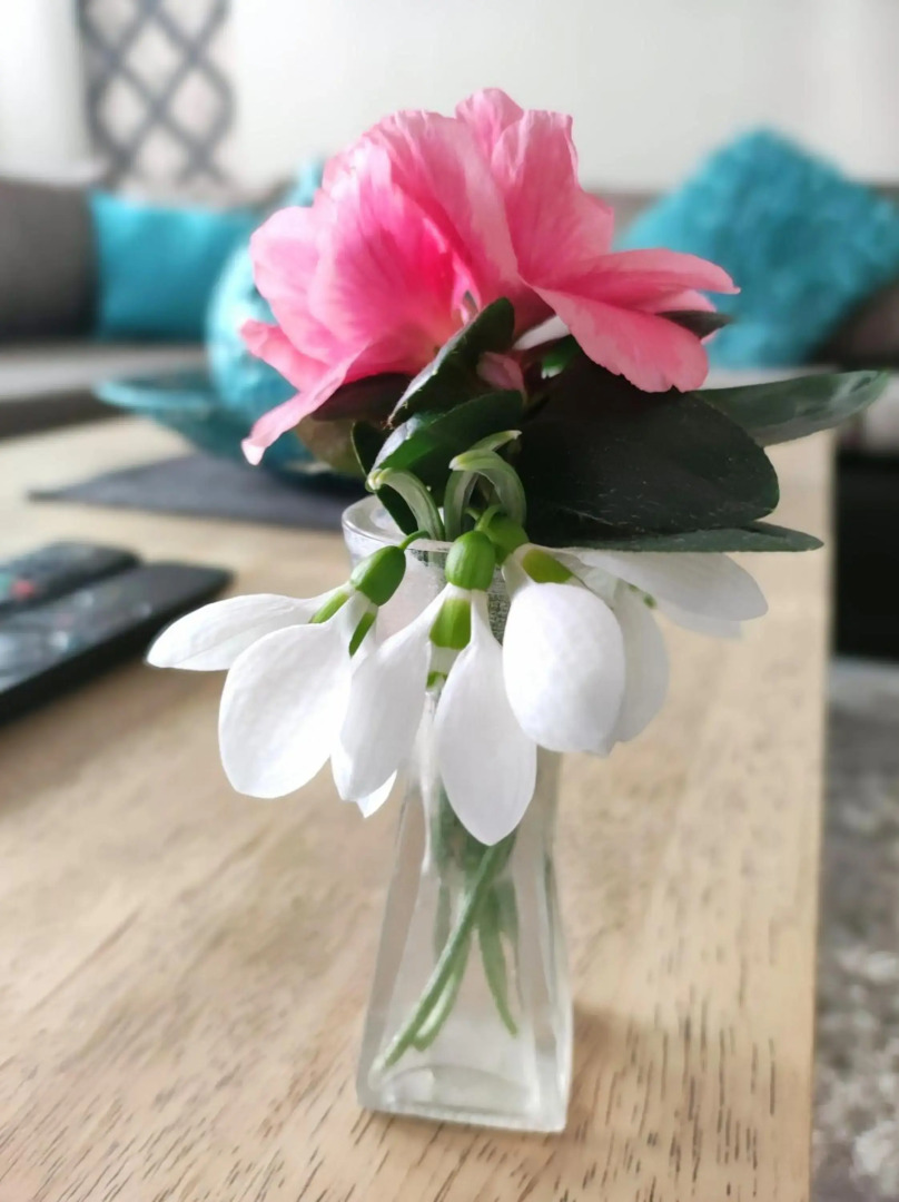 Strandfürdő Apartman