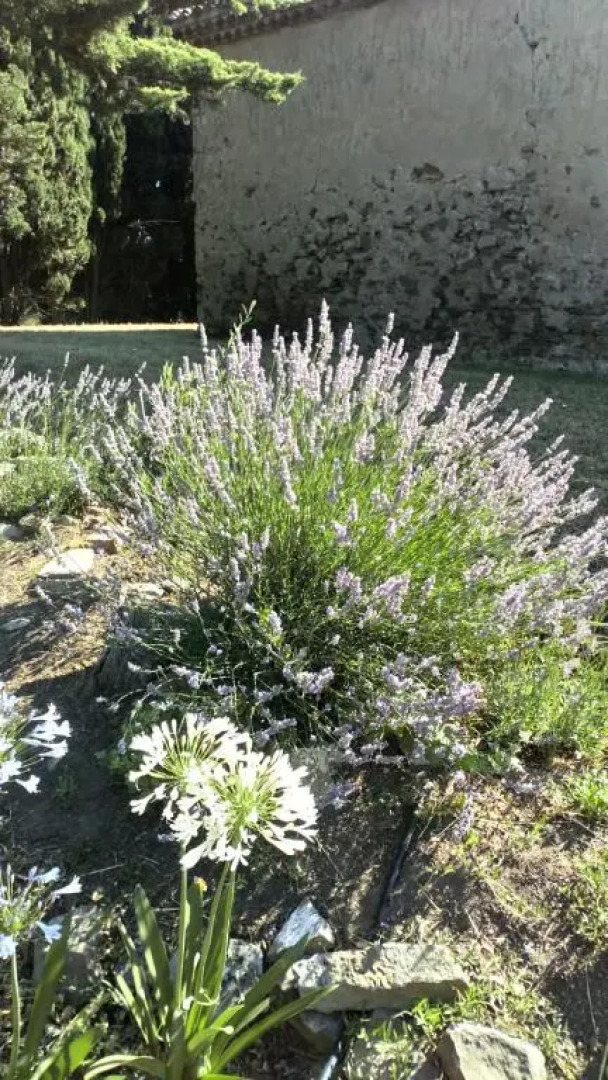 Pavillon de Villefrancou