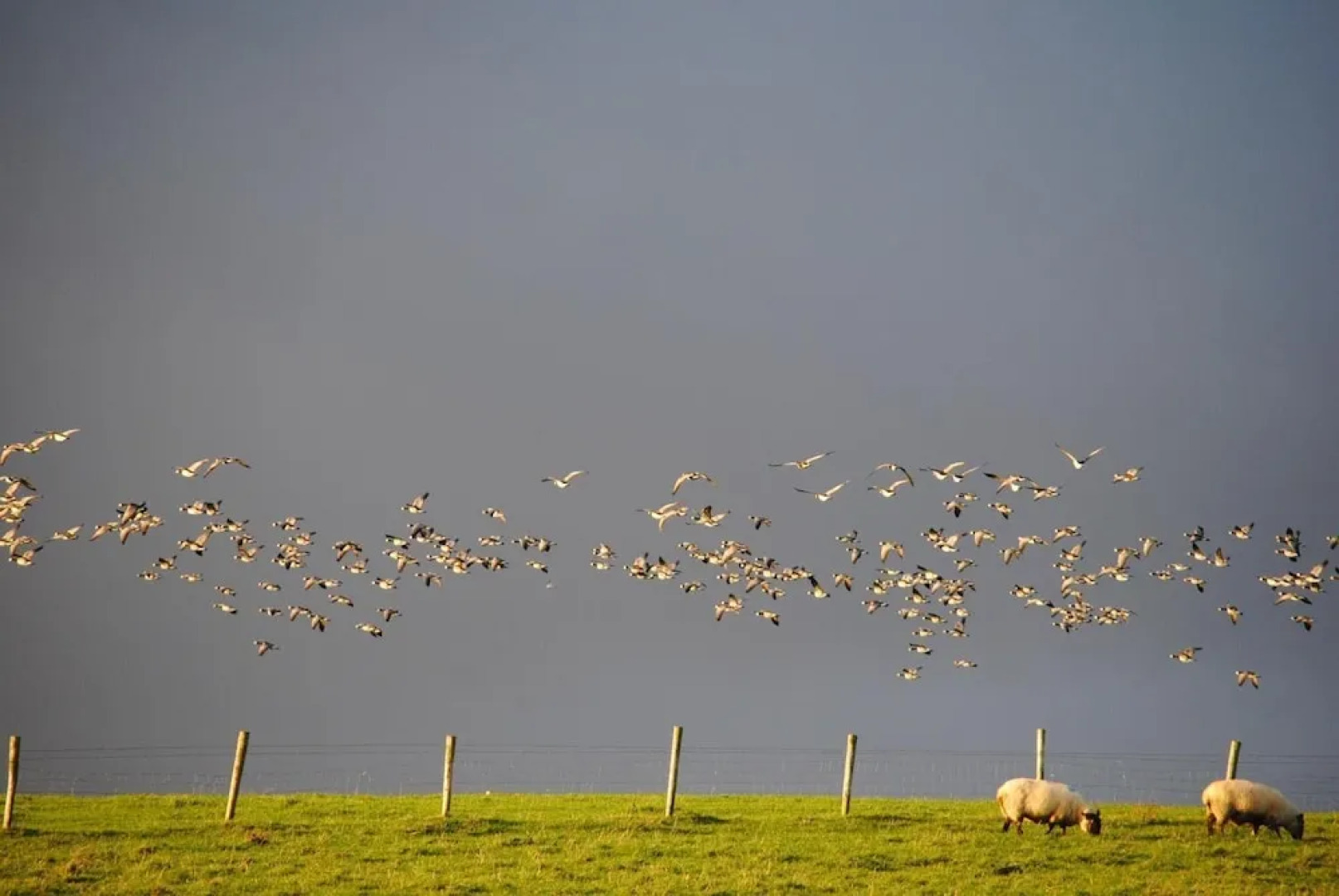 The Mill Restaurant & Accommodation